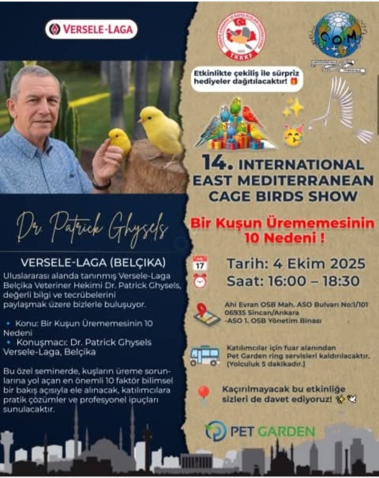 Bir Kuşun Ürememesinin 10 Nedeni